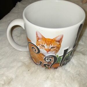 50%offw❤️ Americaware Cats Rule Feline Assorted Cats Coffee Mug Tea Cup